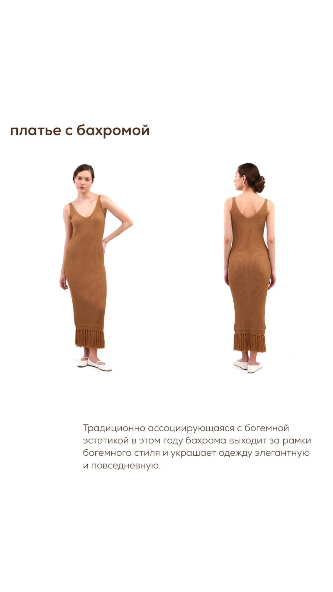 камел